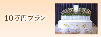 40万円プラン