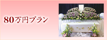 80万円プラン